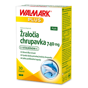 Žraločia chrupavka 