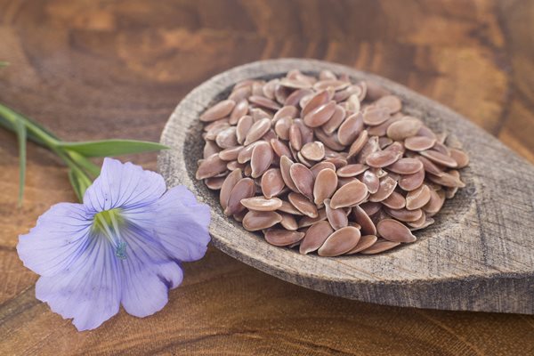 Flax-Seeds-and-Flower-Linum-usitatissimum_shutterstock_645351076.jpg